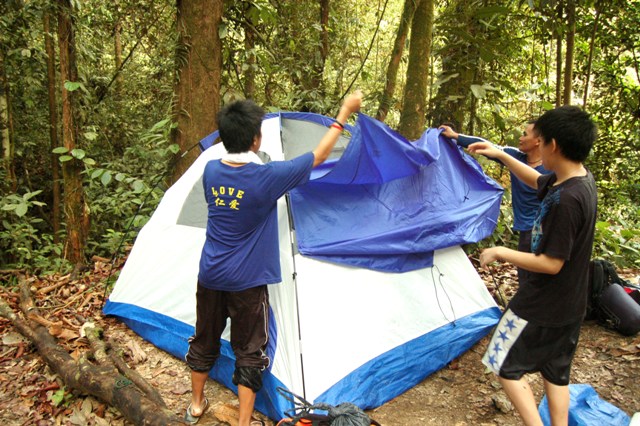 DSC_4250.JPG